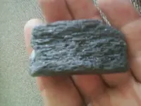 fossil wood.webp