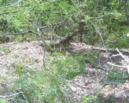 100_0778.webp