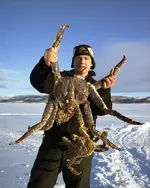KING CRAB.webp