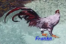 rooster 700.webp rooster 700.webp