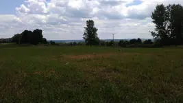 IMAG0041.webp