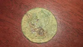 IMAG0059 (1).webp