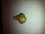 Rock.webp