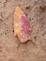20 Jul 12 Finds (5).webp