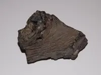 DSCN0354.webp