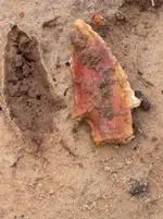20 Jul 12 Finds (3).webp