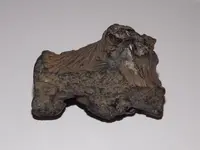 DSCN0357.webp
