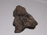 DSCN0358.webp