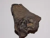 DSCN0359.webp