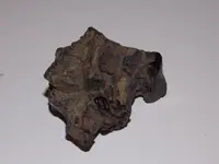 DSCN0361.webp