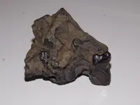 DSCN0362.webp