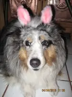 Easter Chelsea.webp