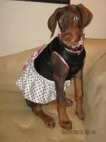 Baby Lucy.webp