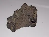 DSCN0364.webp