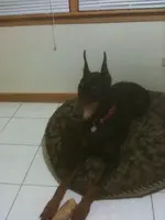 image-420502684.webp