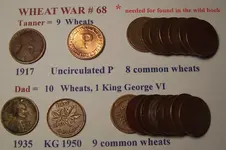 Wheat War 68.webp
