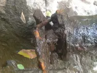 image-2231028265.webp