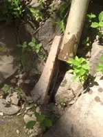 image-2644619261.webp