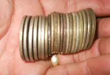 DSCN5473.webp