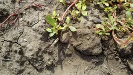 2012-08-10_12-09-47_459 (1280x722).webp