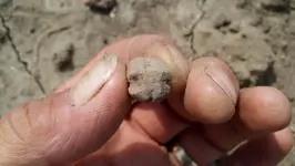 2012-08-10_12-12-03_982 (1280x722).webp