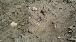 2012-08-10_12-14-37_404 (1280x722).webp