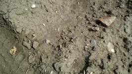 2012-08-10_12-26-17_582 (1280x722).webp