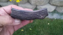 2012-08-11_07-39-37_281 (1280x722).webp
