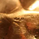 NH FINDS 07-18 009.webp