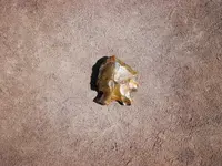 100_2206.webp