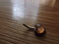DSCF1161.webp