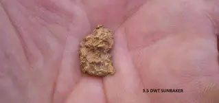 treasurenet.webp