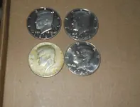 DSCN5239.webp