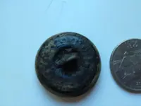 navy button back.webp