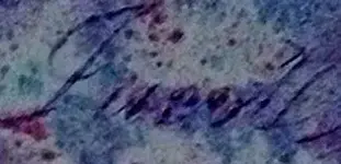 jacot.webp