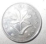 DSCN5506.webp