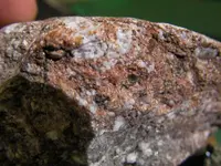 Copper1.webp Copper1.webp