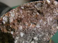 Copper2.webp Copper2.webp