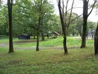 Grove#1.webp