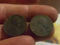 2 wheats.webp