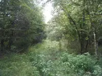 001.webp 001.webp