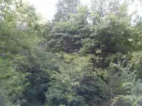 002.webp 002.webp
