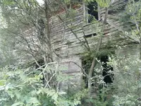 003.webp 003.webp