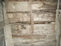 008.webp 008.webp