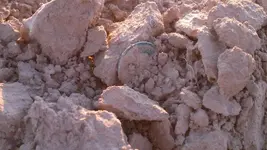 3 025_800_450.webp