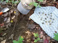 Grove#4.webp