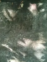 image-4056288424.webp