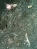 image-2586408971.webp