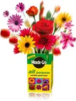 ATT00002.jpg flowers.webp