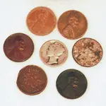 merc wheats.webp